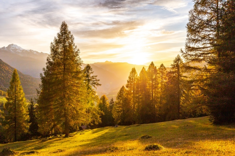 herbst-landschaft-sonne